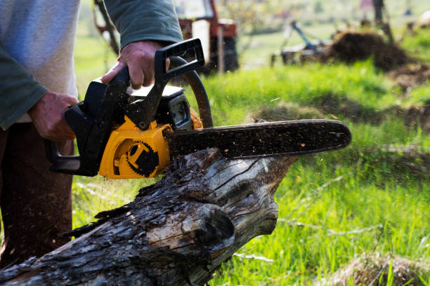 Best Lot and Land Clearing  in Danville, CA