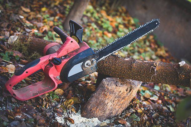Best Lawn Dethatching  in Danville, CA